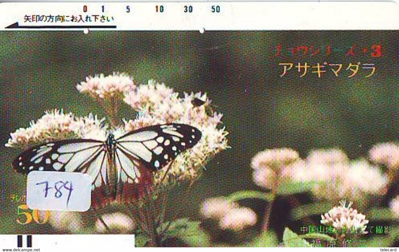 Télécarte Japon * PAPILLON * BUTTERFLY * VLINDER * SCHMETTERLING * ANIMAL (784) PHONECARD JAPAN * TELEFONKARTE - Farfalle