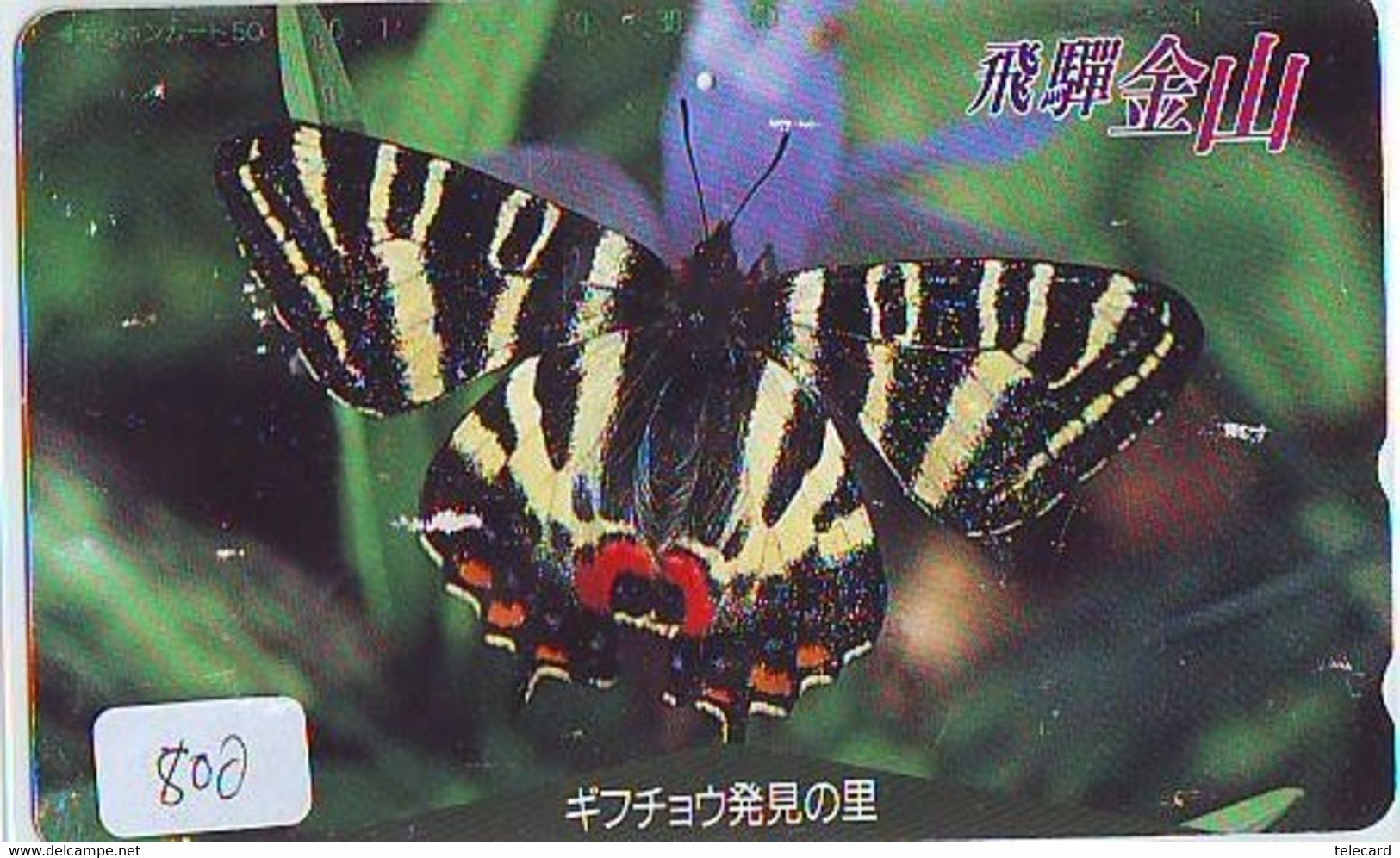 Télécarte Japon * PAPILLON * BUTTERFLY * VLINDER * SCHMETTERLING * ANIMAL (800) PHONECARD JAPAN * TELEFONKARTE - Farfalle