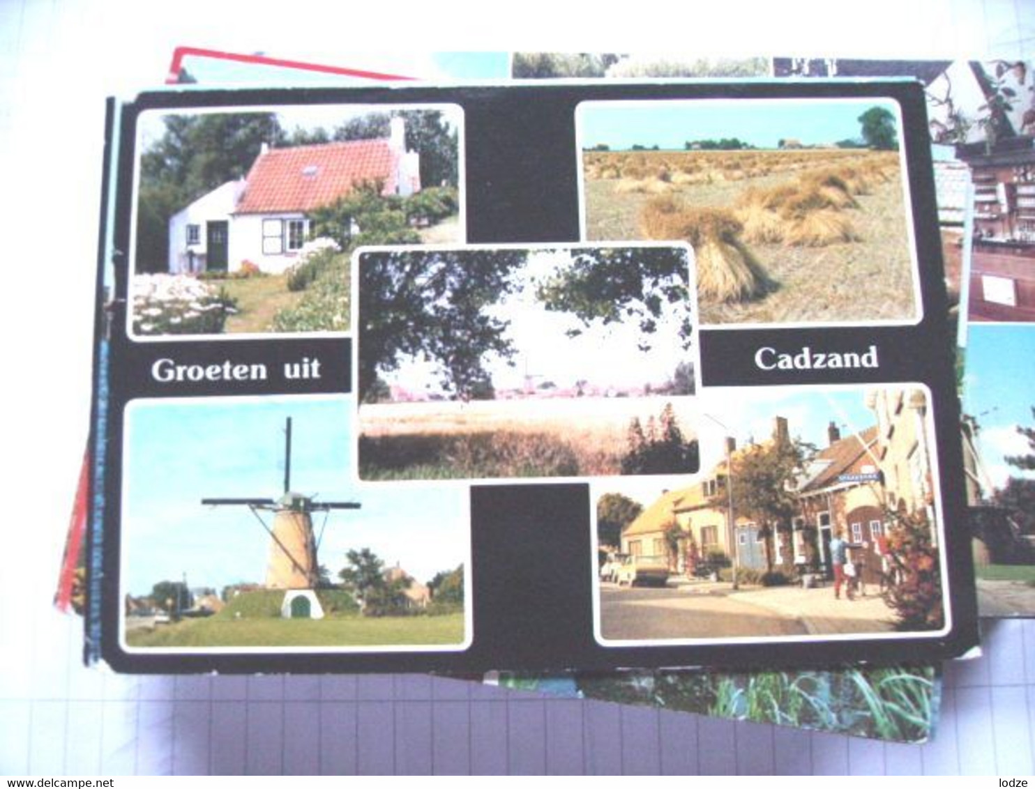 Nederland Holland Pays Bas Cadzand Met Molen En Korenschoven - Cadzand