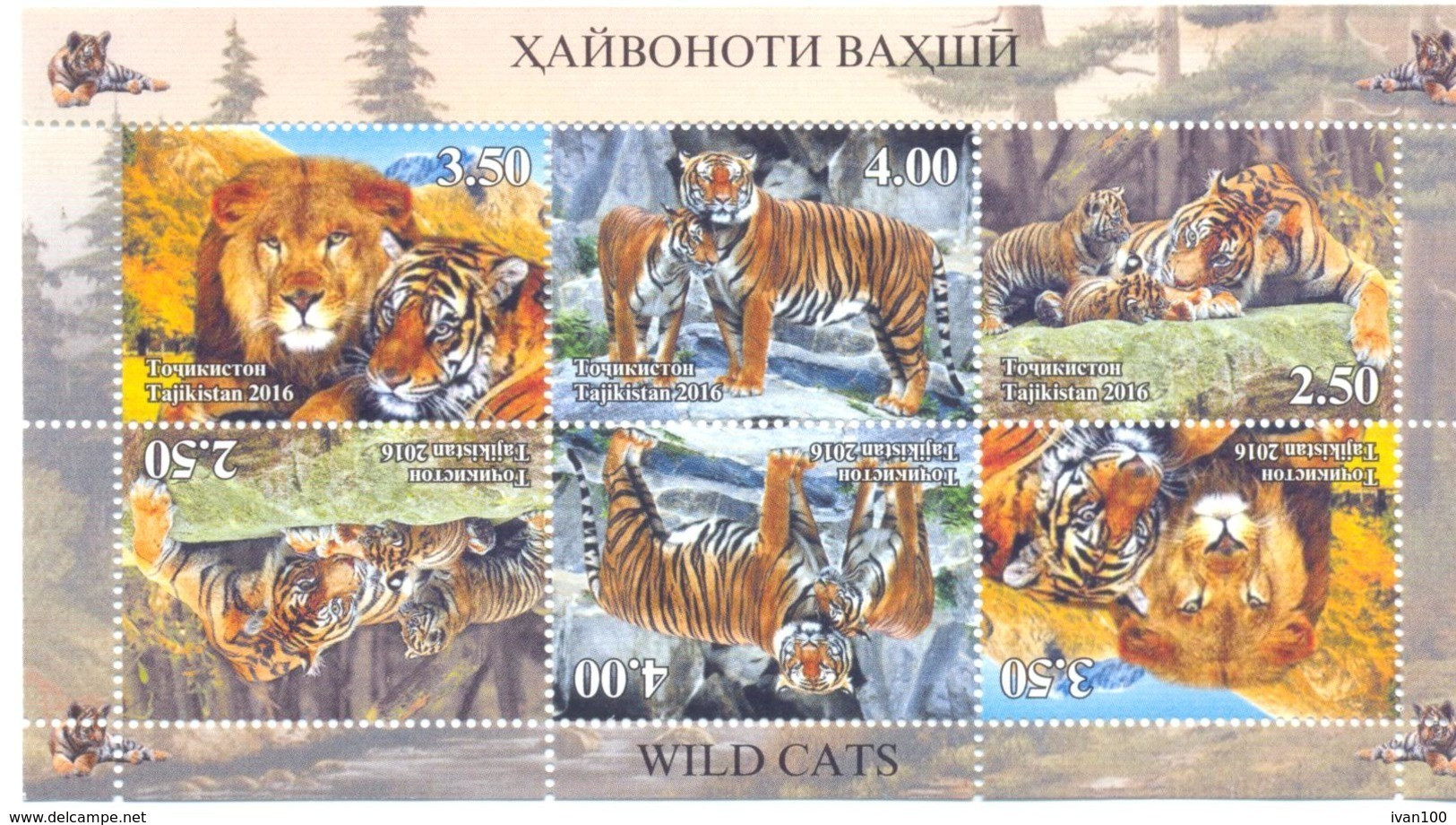 2016. Tajikistan, Wild Cats, S/s Perforated, Mint/** - Tadschikistan