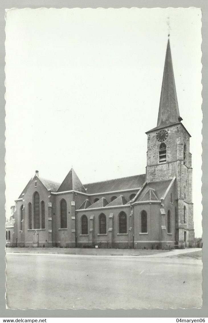 ***  HALLE  ***  -  De Kerk - Zörsel