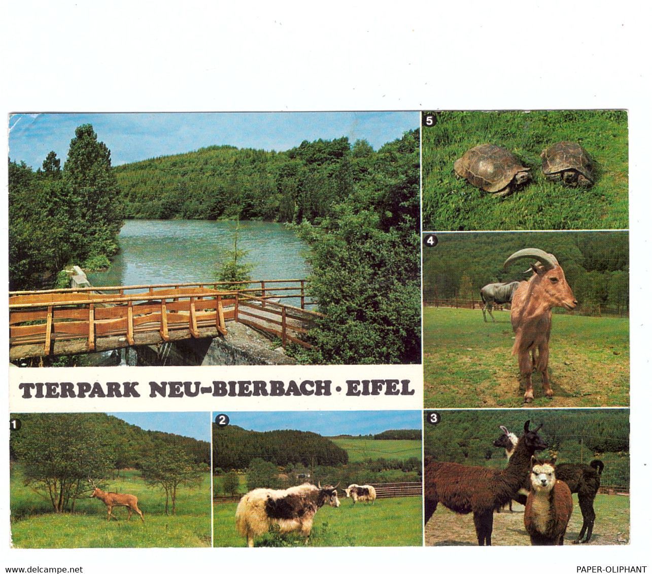 5541 LÜNEBACH - PRONSFELD, Tierpark Neu-Bierbach - Prüm