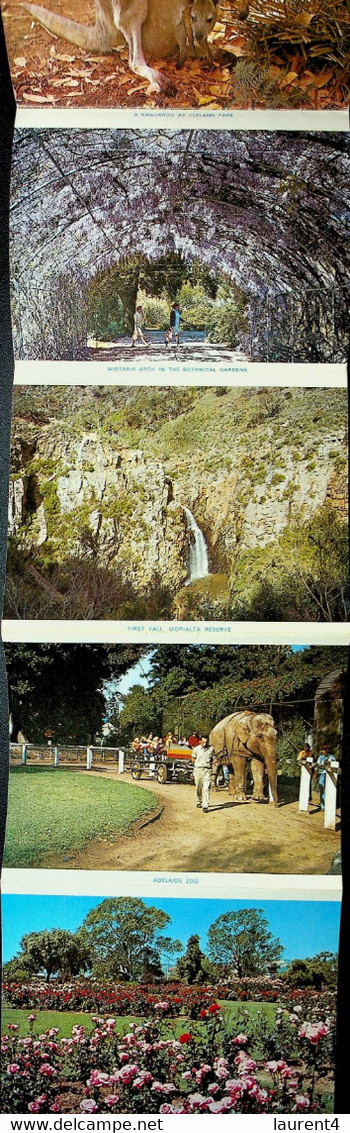 (Booklet 131) Australia - SA - Adelaide Parks & Gardens (with ELEPHANT Ride At Zoo !) - Adelaide