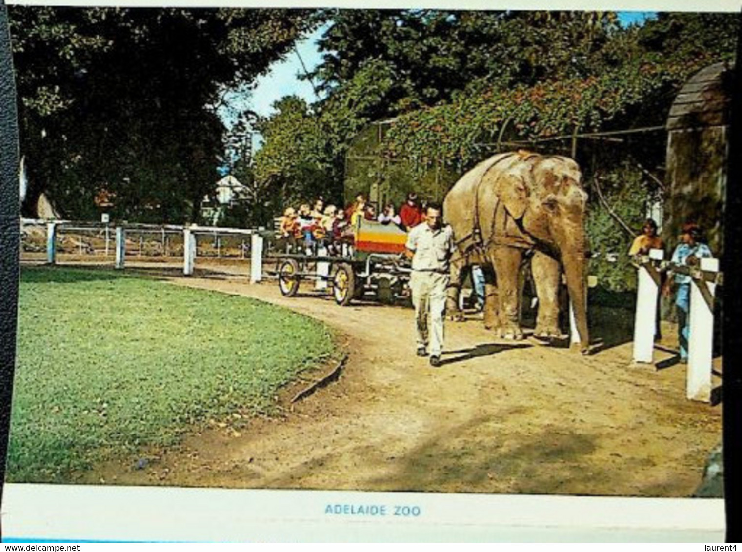 (Booklet 131) Australia - SA - Adelaide Parks & Gardens (with ELEPHANT Ride At Zoo !) - Adelaide