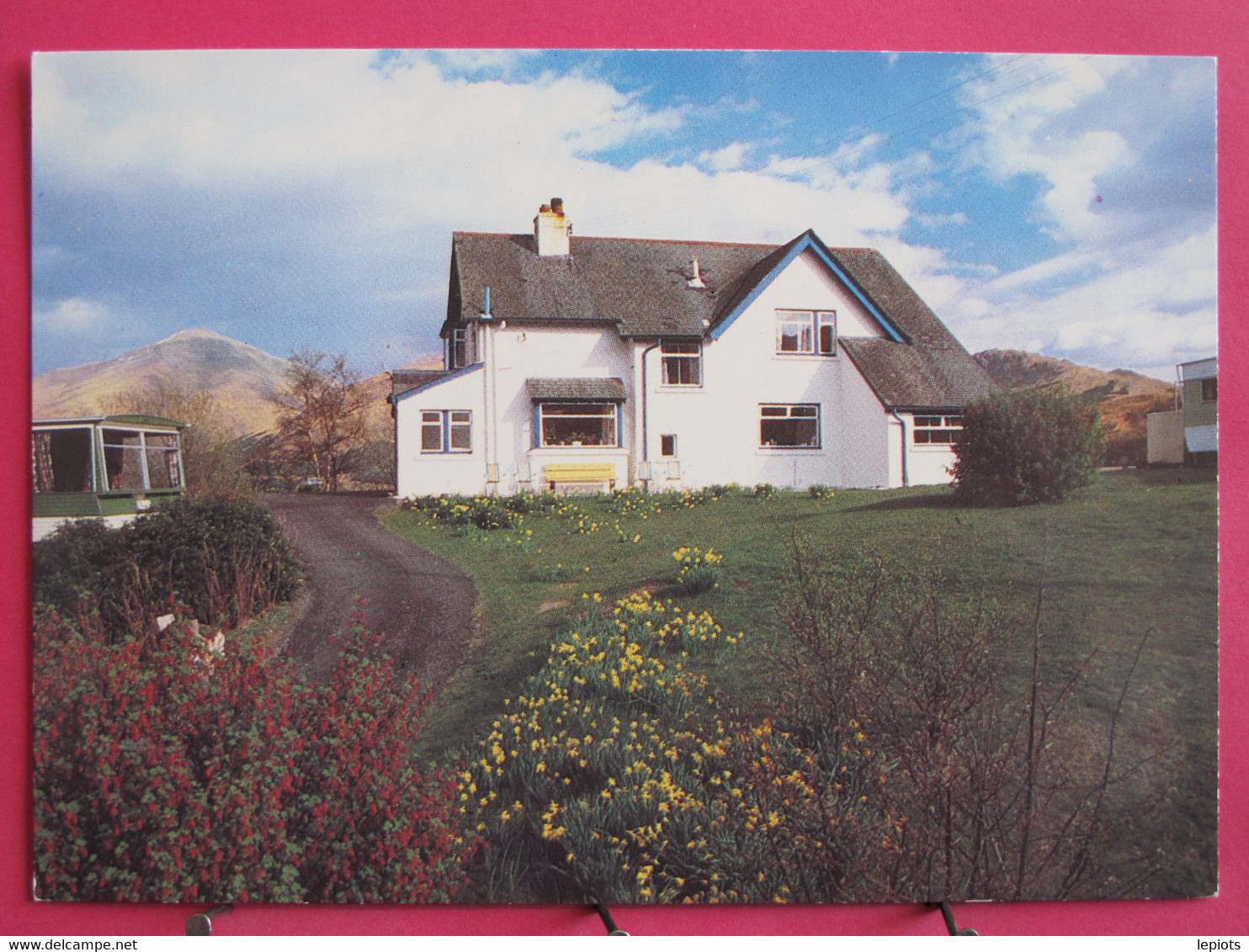 Visuel Très Peu Courant - Ecosse - Crianlarich - The Lodge Guest House - Excellent état - R/verso - Perthshire