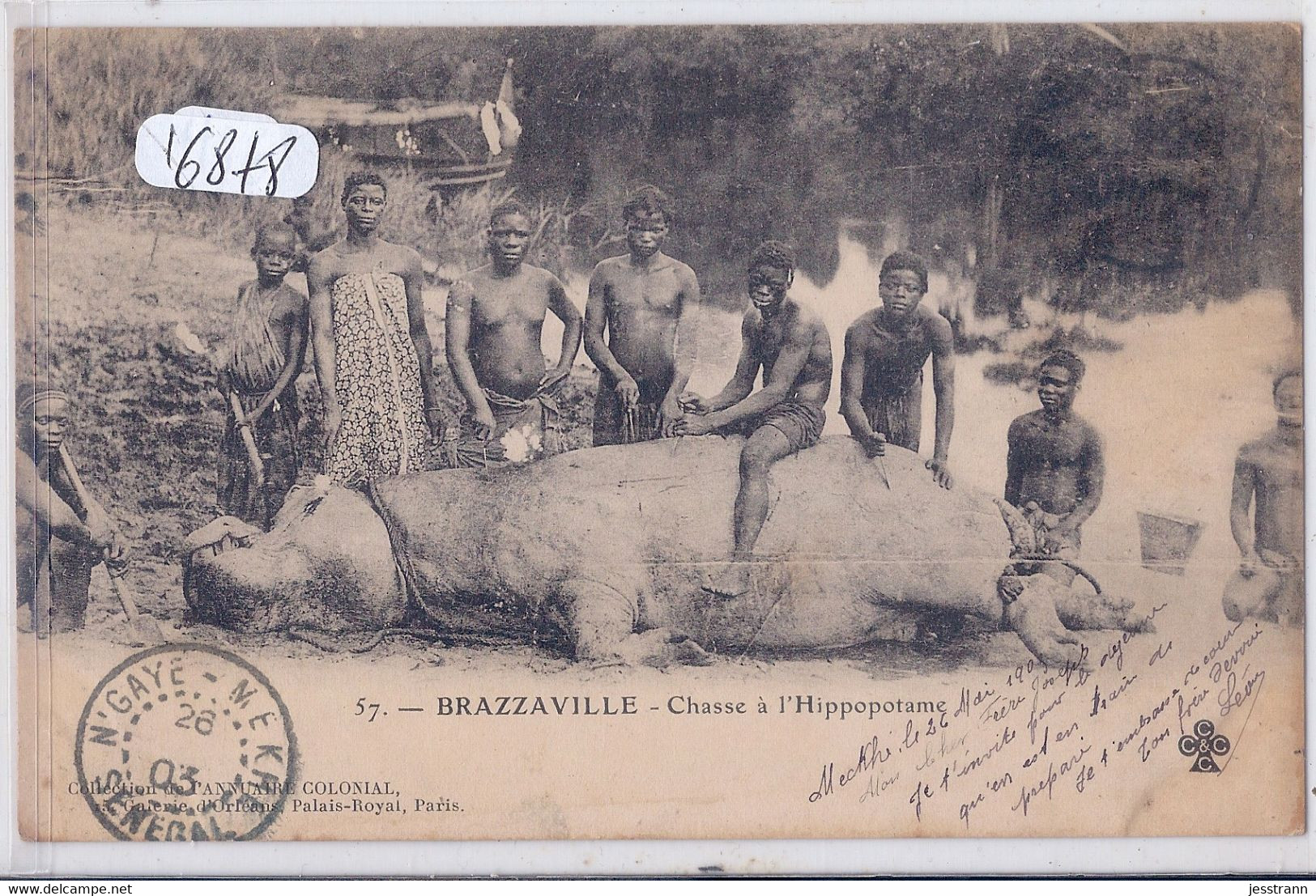 CONGO FRANCAIS- BRAZZAVILLE- CHASSE A L HIPPOPOTAME - Brazzaville