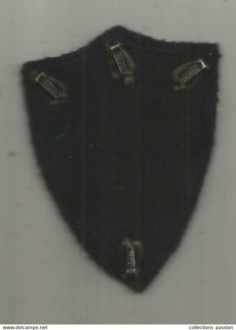 Militaria , écusson Tissu , II CA , 2 éme Corps D'armée En Allemagne , 2 Scans - Ecussons Tissu