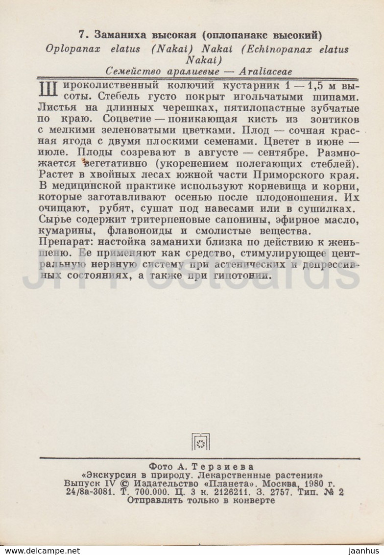 Nakai - Oplopanax Elatus - Medicinal Plants - 1980 - Russia USSR - Unused - Medicinal Plants