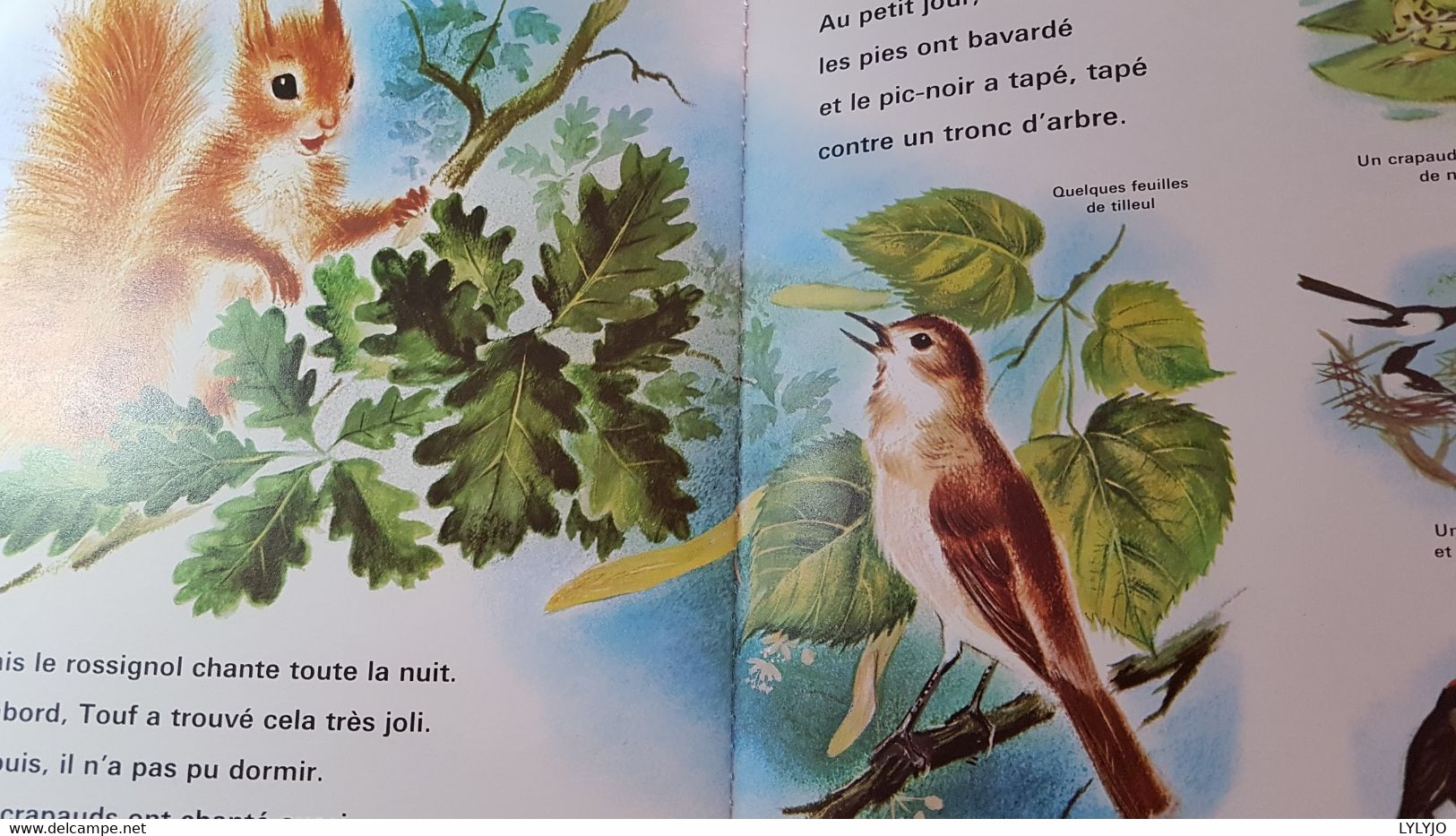 LE PETIT ECUREUIL DANS LA FORÊT ** FERNAND NATHAN