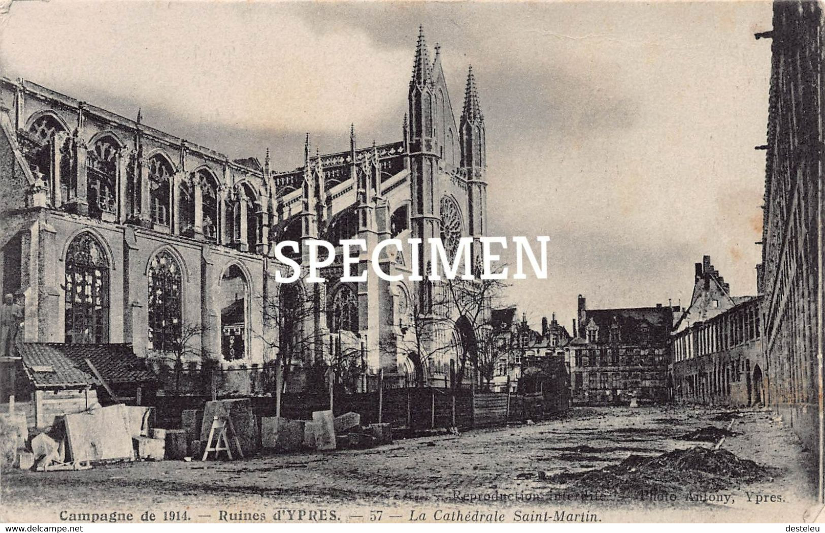 La Cathédrale Saint-Martin @  Ypres Ieper - Ieper
