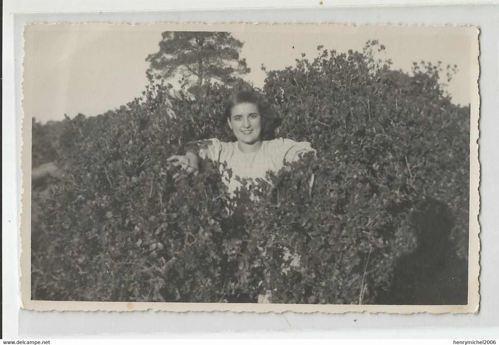 Carte Photo Femme Sortant D 'un Buisson A Bel Abbés Algérie - Fotografie