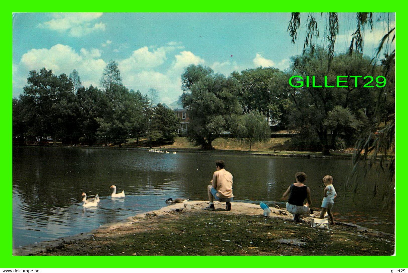 HAGERSTOWN, MD - FEEDING SWANS & DUCKS CITY PARK LAKE - COLOR BY FRANK D. KELLEY - ANIMATED WITH PEOPLES - - Hagerstown