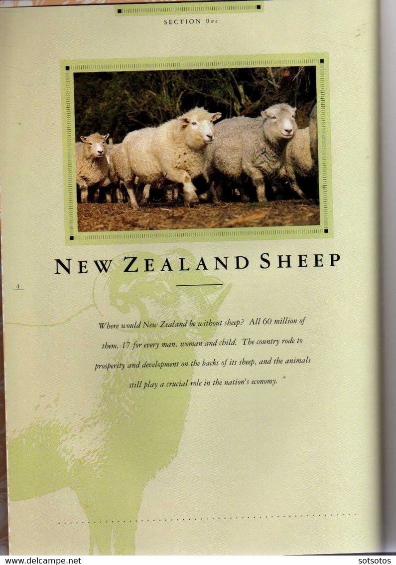 New Zealand - 1991 Annual Book  MNH (Mint Never Hinged) - Full Years