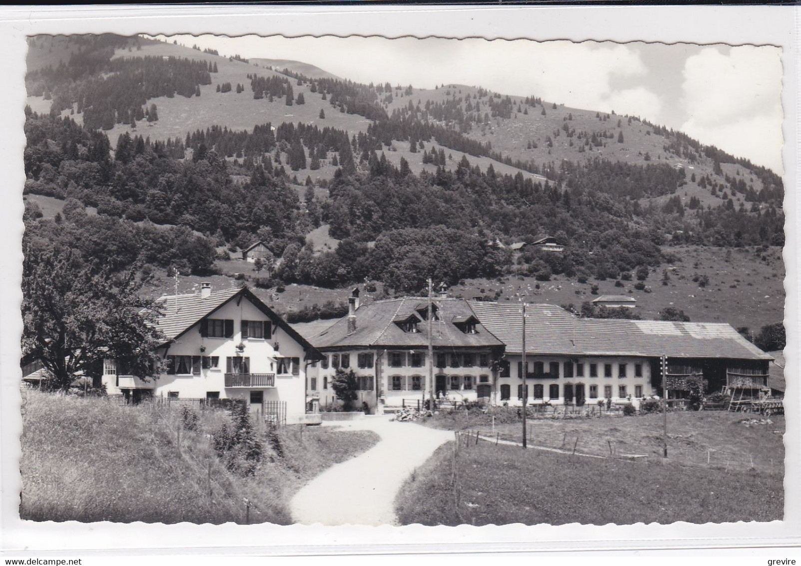 Les Sciernes D'Albeuve, Vue Partielle. Carte-photo - Albeuve