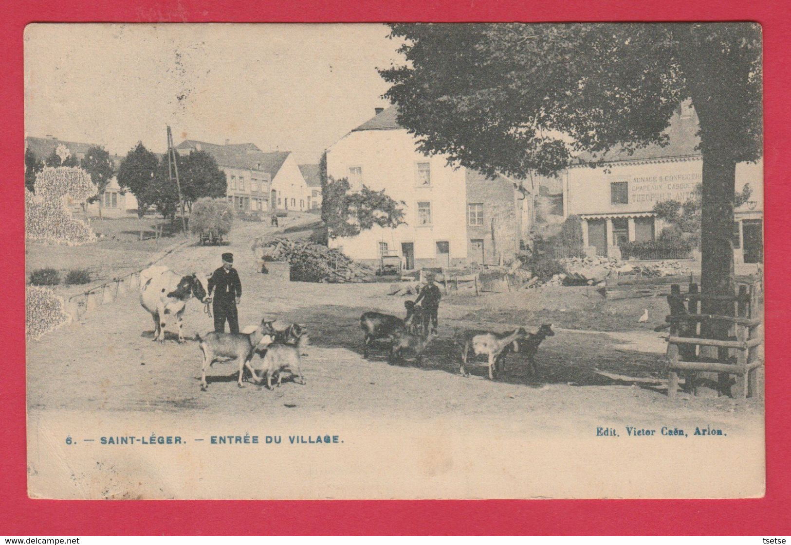 Saint-Léger - Entrée Du Village - Troupeau De Chèvres, Habitant Et Sa Vache - 1906 ( Voir Verso ) - Saint-Léger