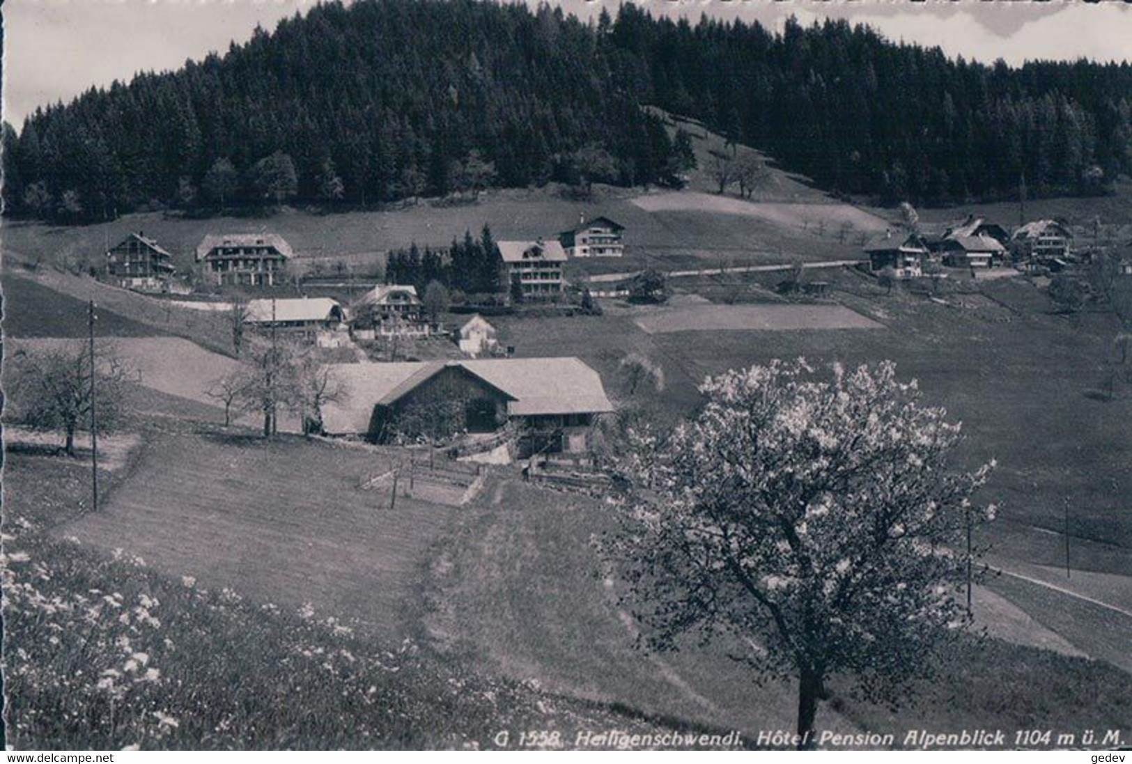 Heiligenschwendi BE, Hôtel Pension Alpenblick (1558) - Heiligenschwendi