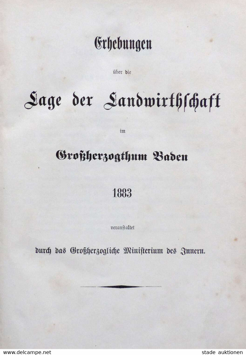 Landwirtschaft Buch Erhebungen über Die Lage Der Landwirtschaft Im Großherzogtum Baden 1883 3 Bände Hrsg. Ministerium De - Ausstellungen