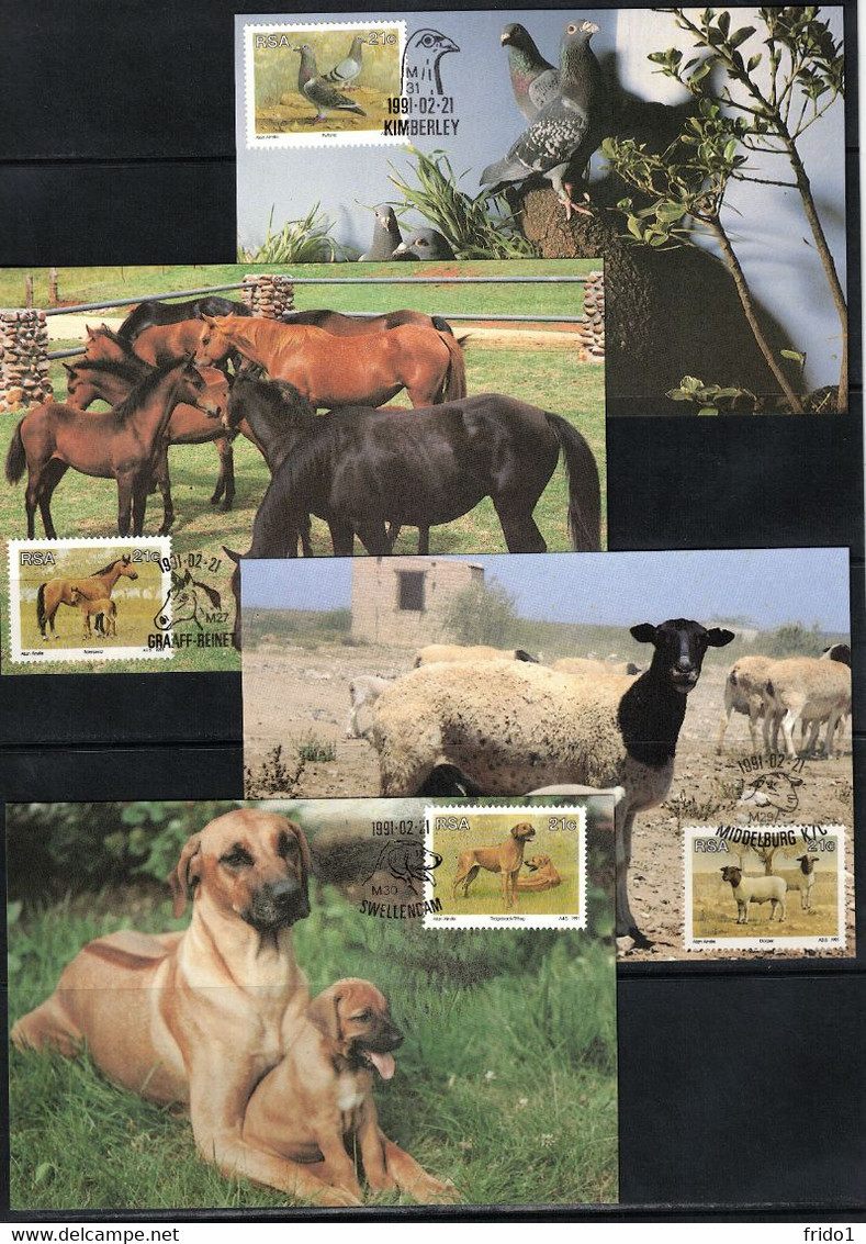South Africa 1991 Animals - Dogs,Horses Maximumcards - Farm