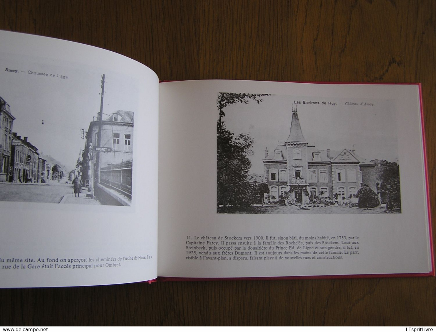 AMAY EN ANCIENNES CARTES POSTALES Tome 2 Régionalisme Huy Meuse Ampsin Ombret Jehay Bodegnée Château Eglise Industrie - België