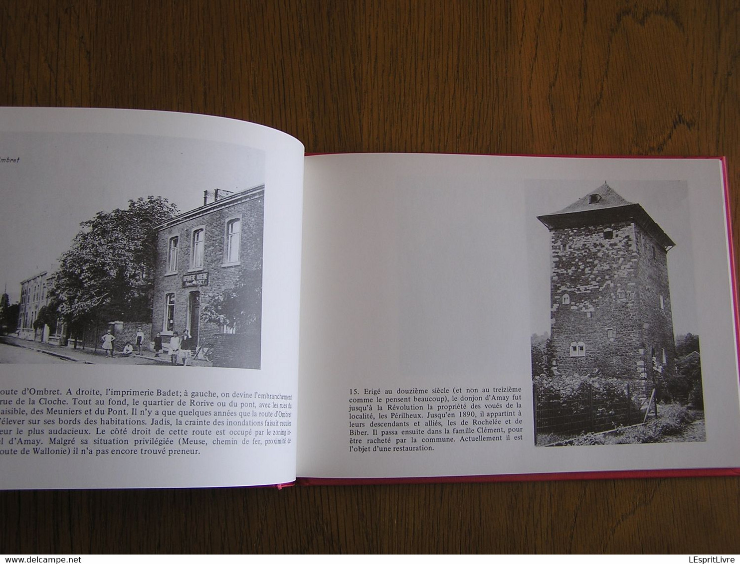 AMAY EN ANCIENNES CARTES POSTALES Tome 2 Régionalisme Huy Meuse Ampsin Ombret Jehay Bodegnée Château Eglise Industrie - België