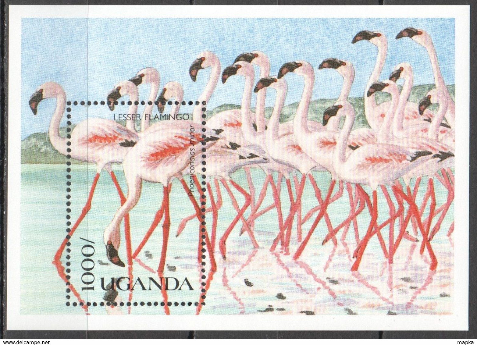 H067 1990 UGANDA FAUNA BIRDS FLAMINGO 1BL MNH - Flamingo