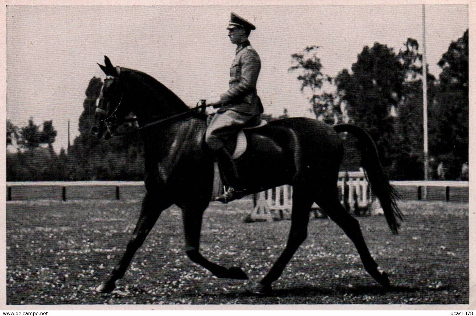 SAMMELWERK 14 - Olympia 1936 - Band II Bild Nr.182 Sieger Im Dressurreiten: Oberleutnant Pollay (Deutschland) - Otros & Sin Clasificación