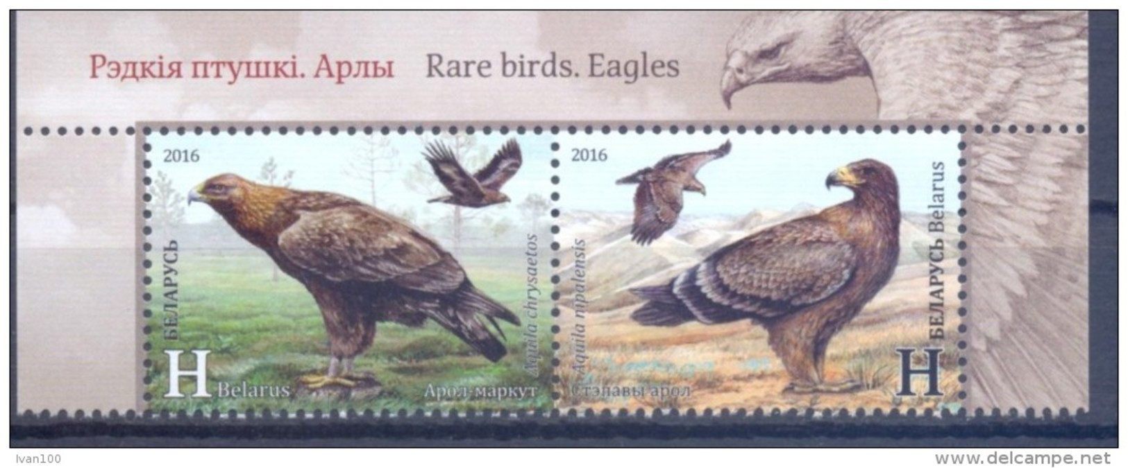 2016. Belarus, Rare Birds, Eagles, 2v, Joint Issue With Azerbaijan, Mint/** - Bielorussia