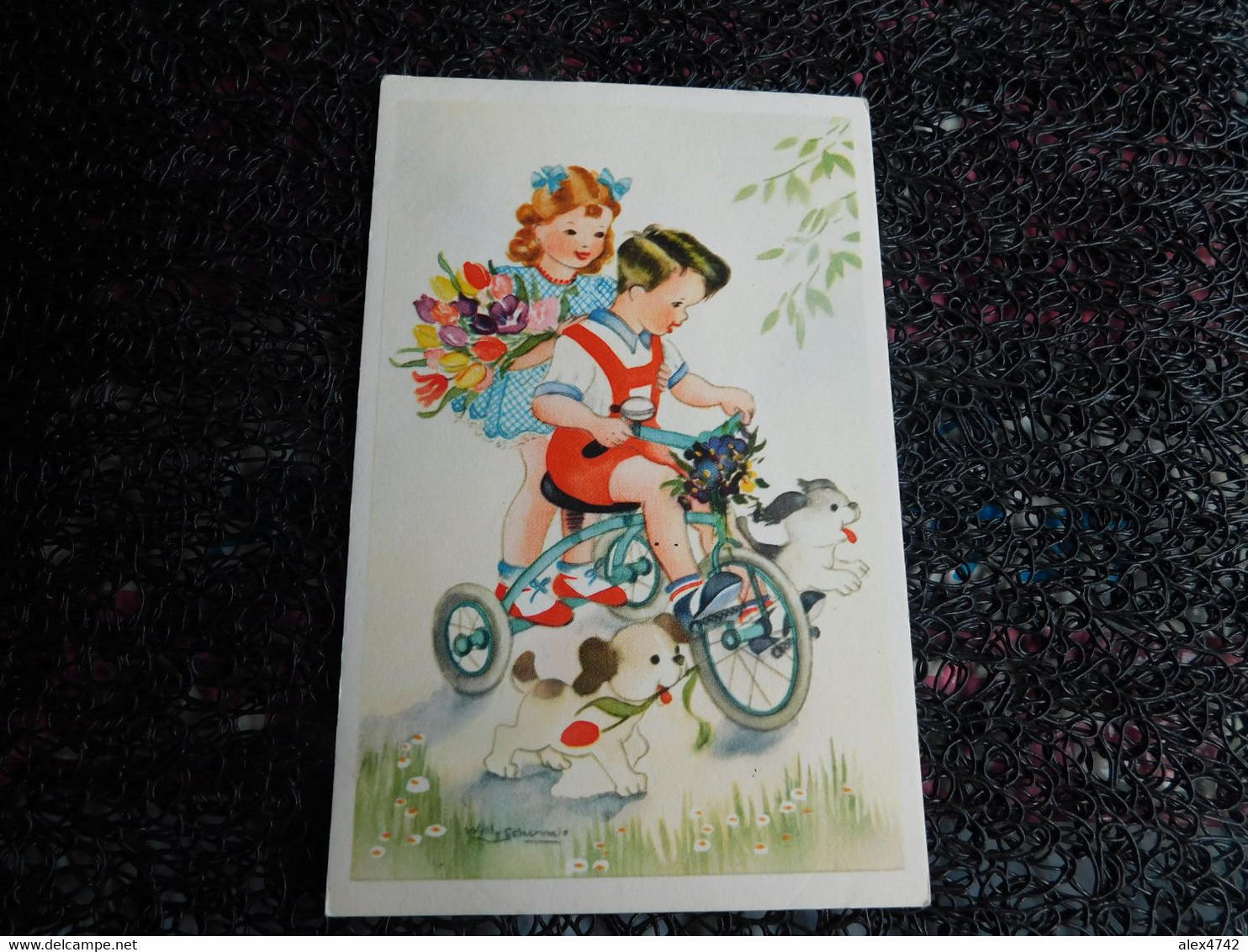 Willy Schermelé, Couple D'enfants En Tricycle, 2 Chiots, Paar Kinderen In Driewieler, 2 Puppy's  (F11) - Schermele, Willy