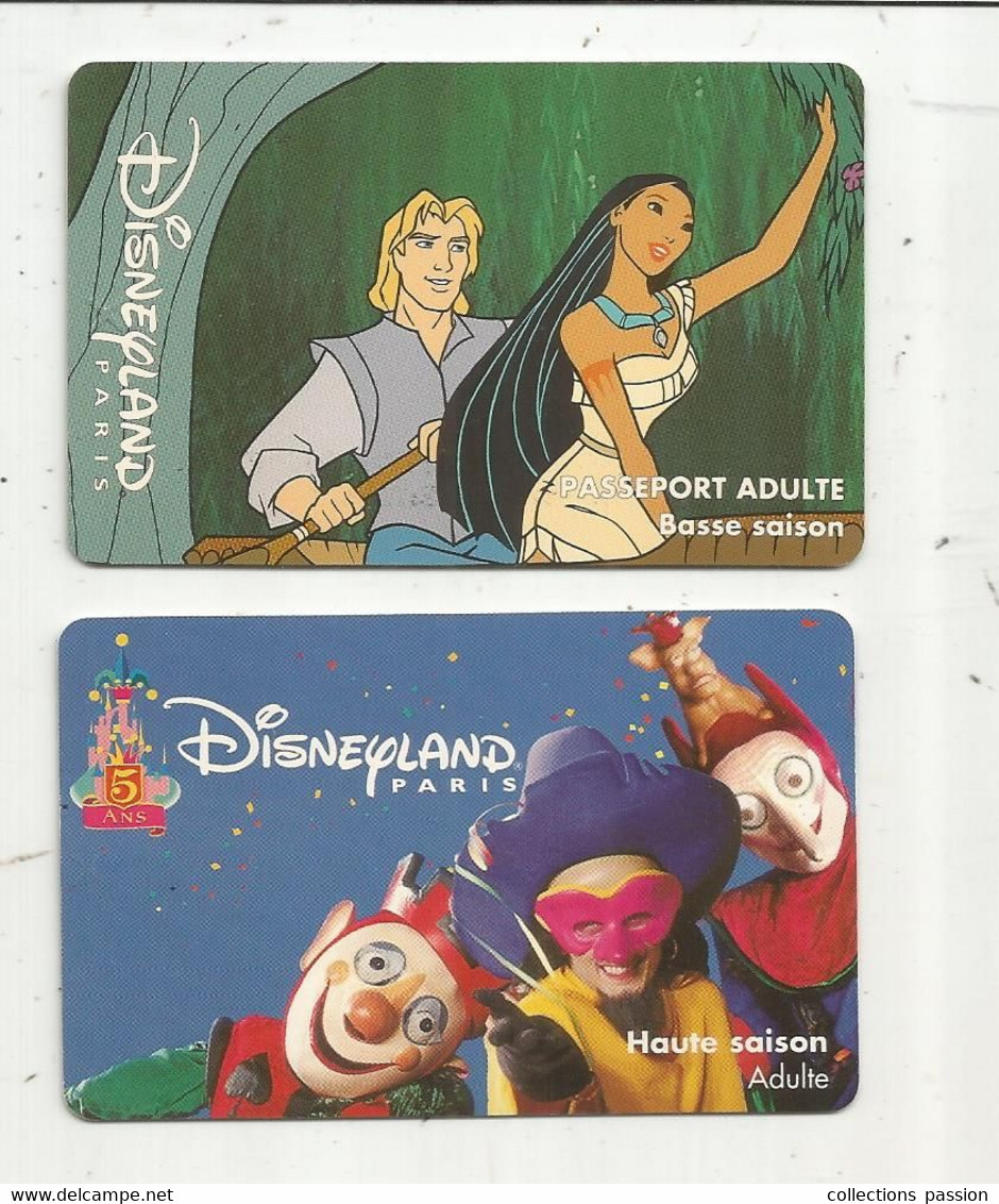 Ticket D'entrée ,carte Magnétique , DISNEYLAND Paris , Adulte , Basse Et Haute Saison, 1997 , LOT DE 2 CARTES - Tickets D'entrée