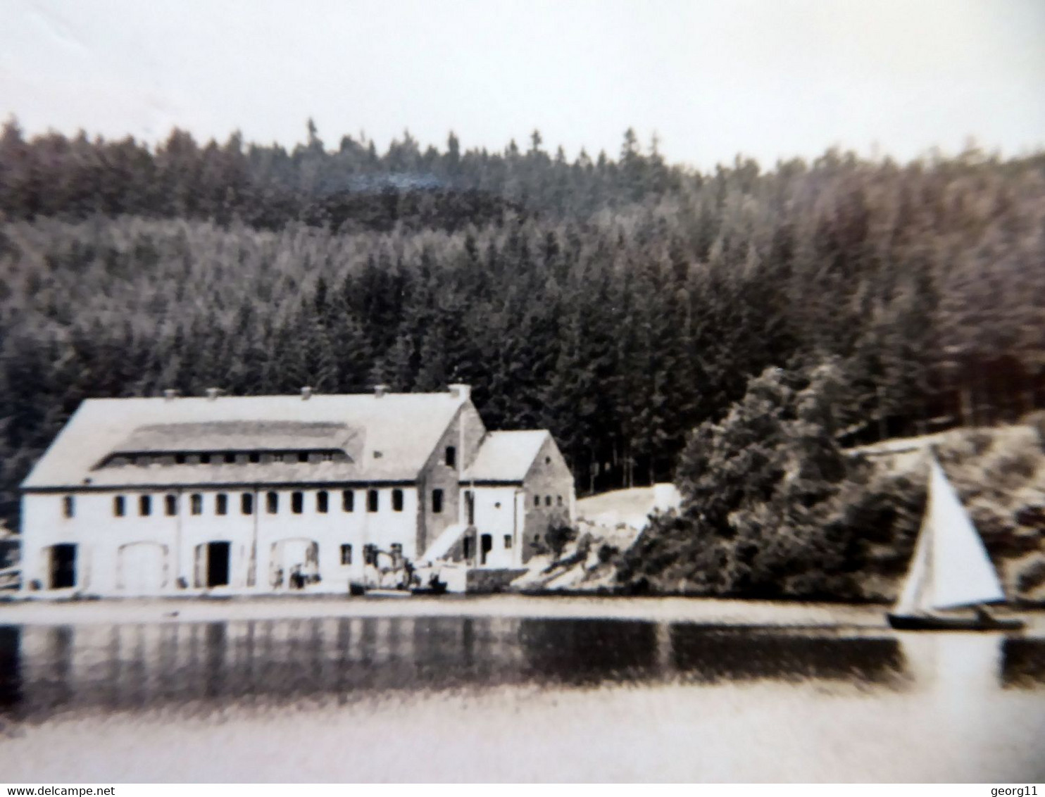 Lütschetalsperre - Stausee - Frankenhain - Segelboot - DDR 1963 - Echt Foto - Thüringen - Frankenhain