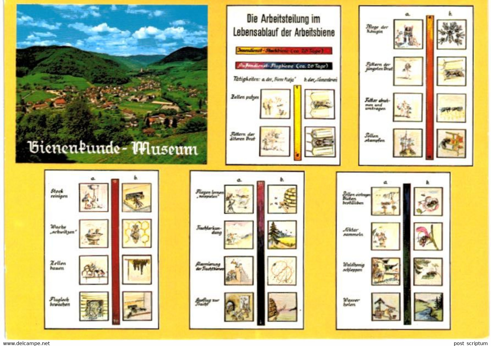 Allemagne - Münstertal - Bienenkunde Museum - Und Imker Lehrschau - Apiculture  - 3 Cartes - Muenstertal