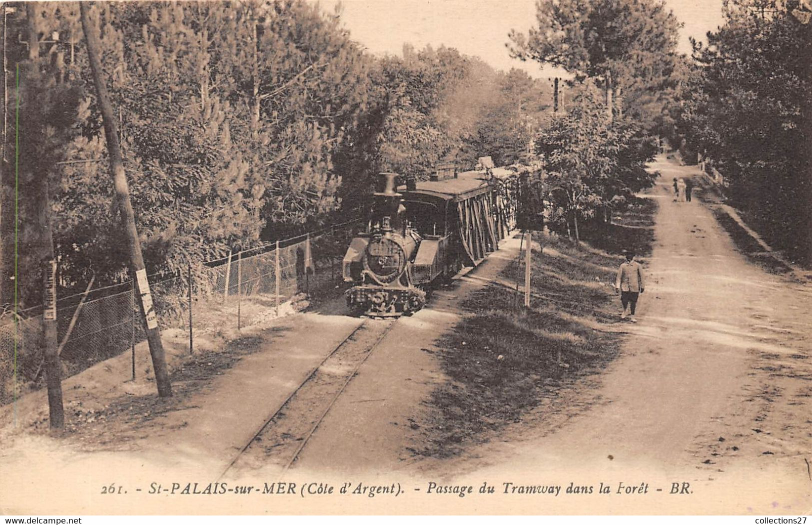 17-SAINT-PALAIS-SUR-MER- PASSAGE DU TRAMWAY DANS LA FORÊT - Saint-Palais-sur-Mer