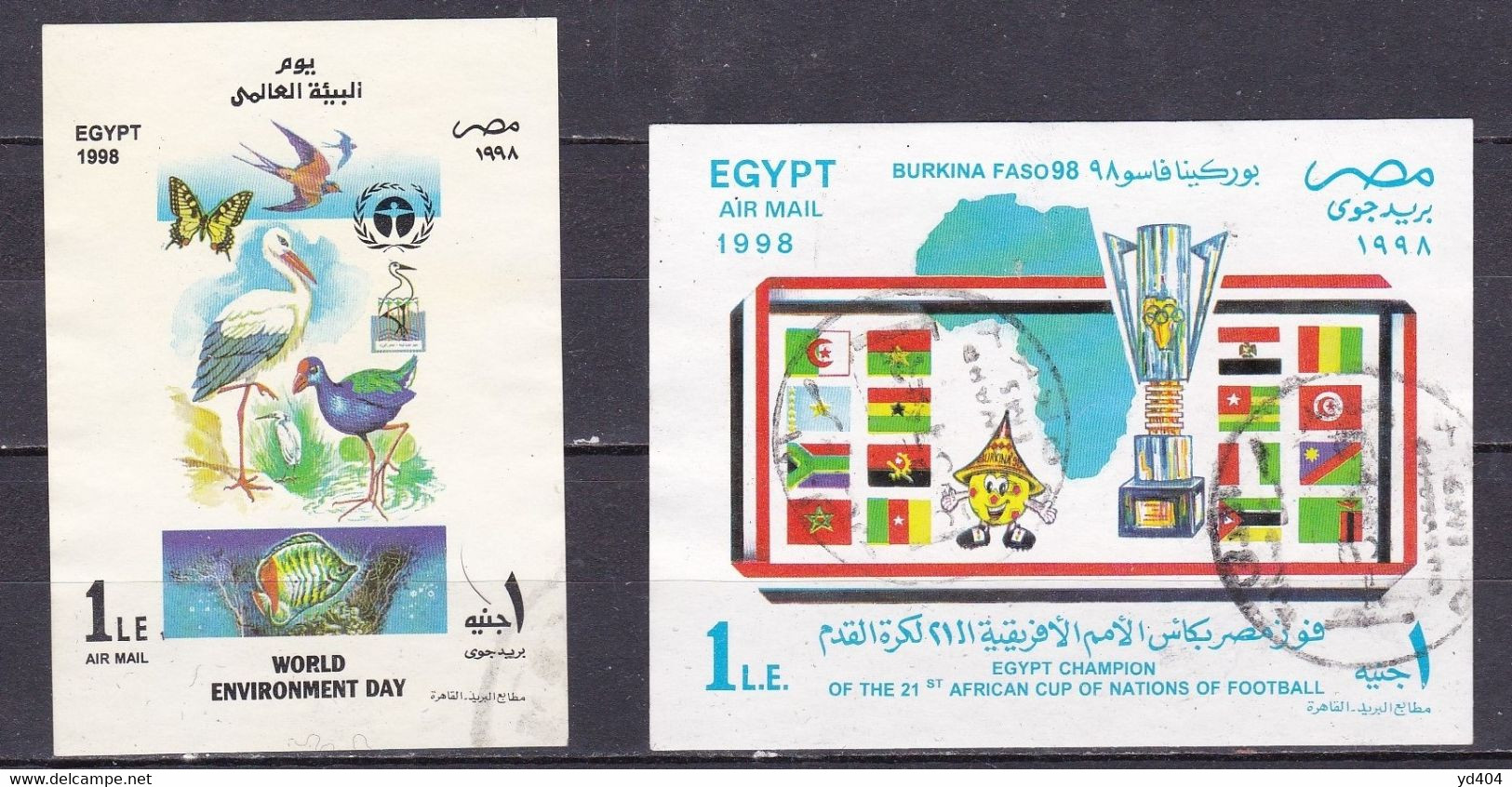 EG546 – EGYPT – 1998 – BLOCKS – FOOTBALL & ENVIRONMENT – CV 10 € - Blokken & Velletjes