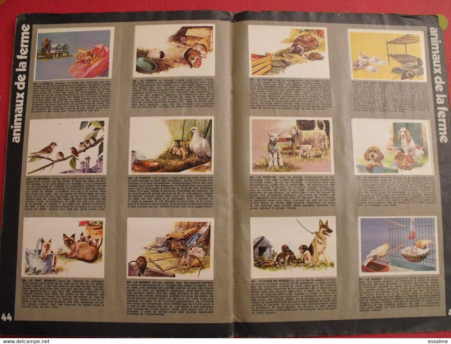 album d'images collées Rossel editions. bébés animaux. complet. vers 1970