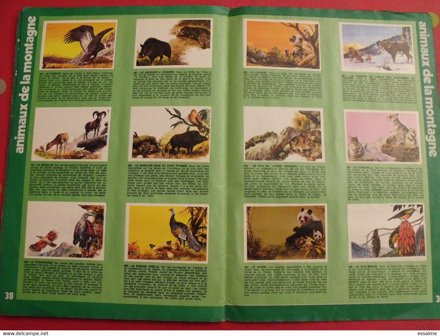 album d'images collées Rossel editions. bébés animaux. complet. vers 1970