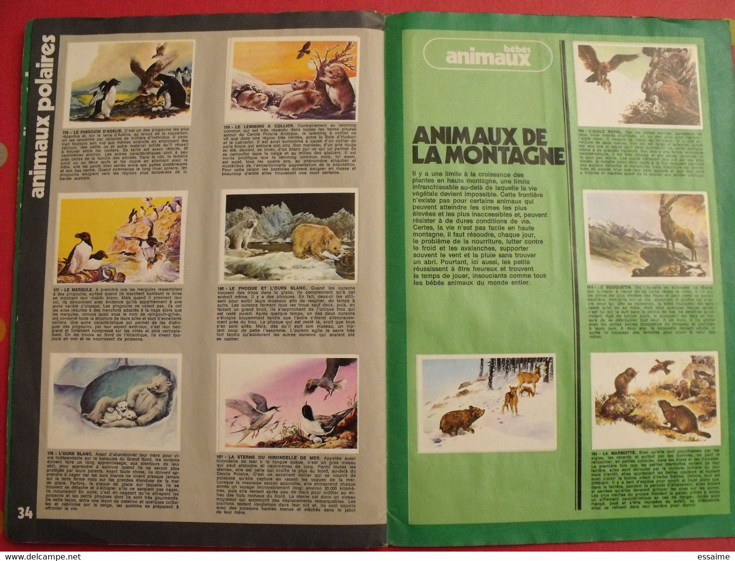 album d'images collées Rossel editions. bébés animaux. complet. vers 1970