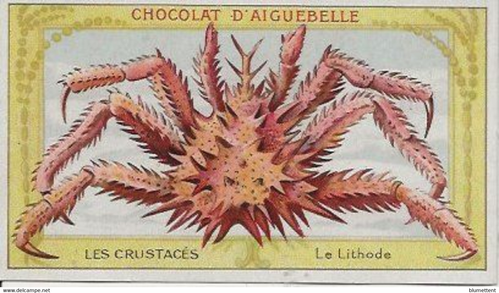 Chromo Aiguebelle Les Crustacés 10,5 X 6 - Le Lithode - Aiguebelle