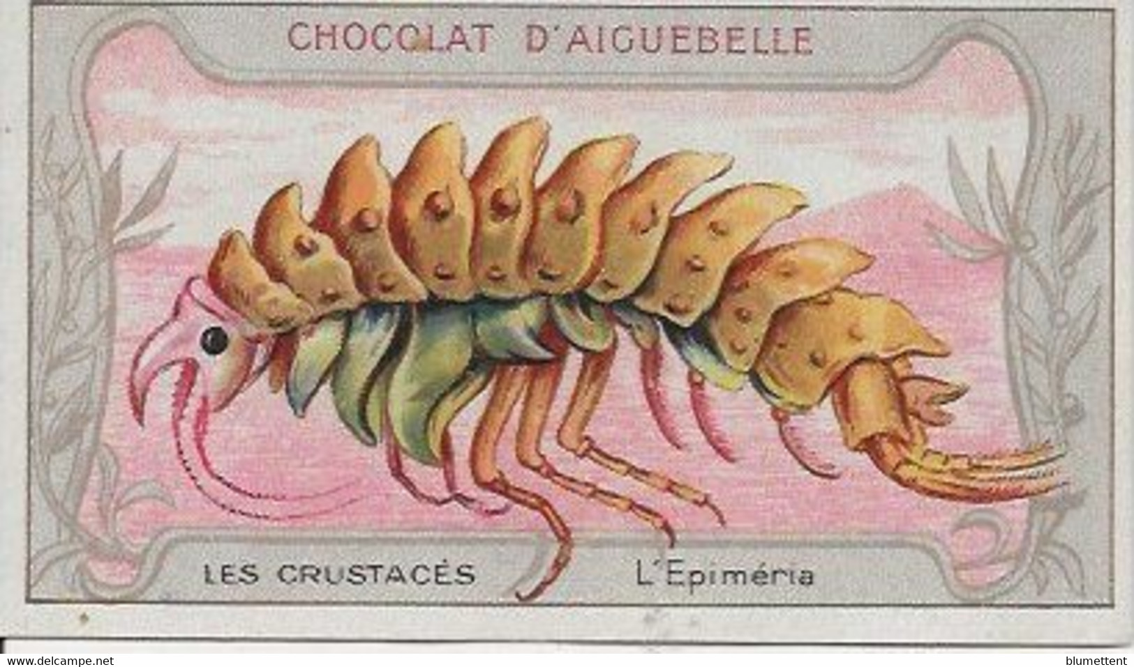 Chromo Aiguebelle Les Crustacés 10,5 X 6 - L'Epiméria - Aiguebelle
