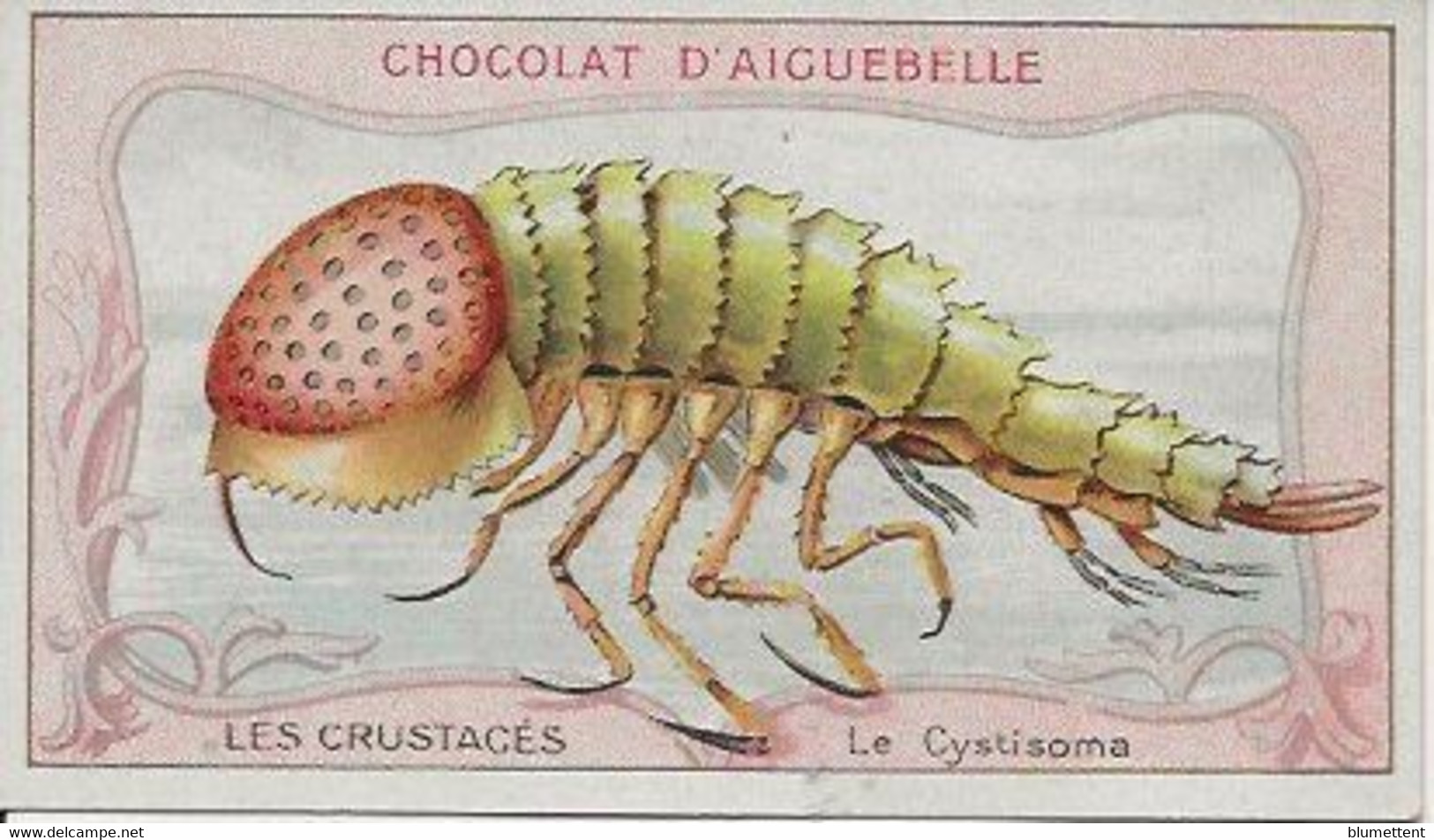 Chromo Aiguebelle Les Crustacés 10,5 X 6 - Le Cystisoma - Aiguebelle