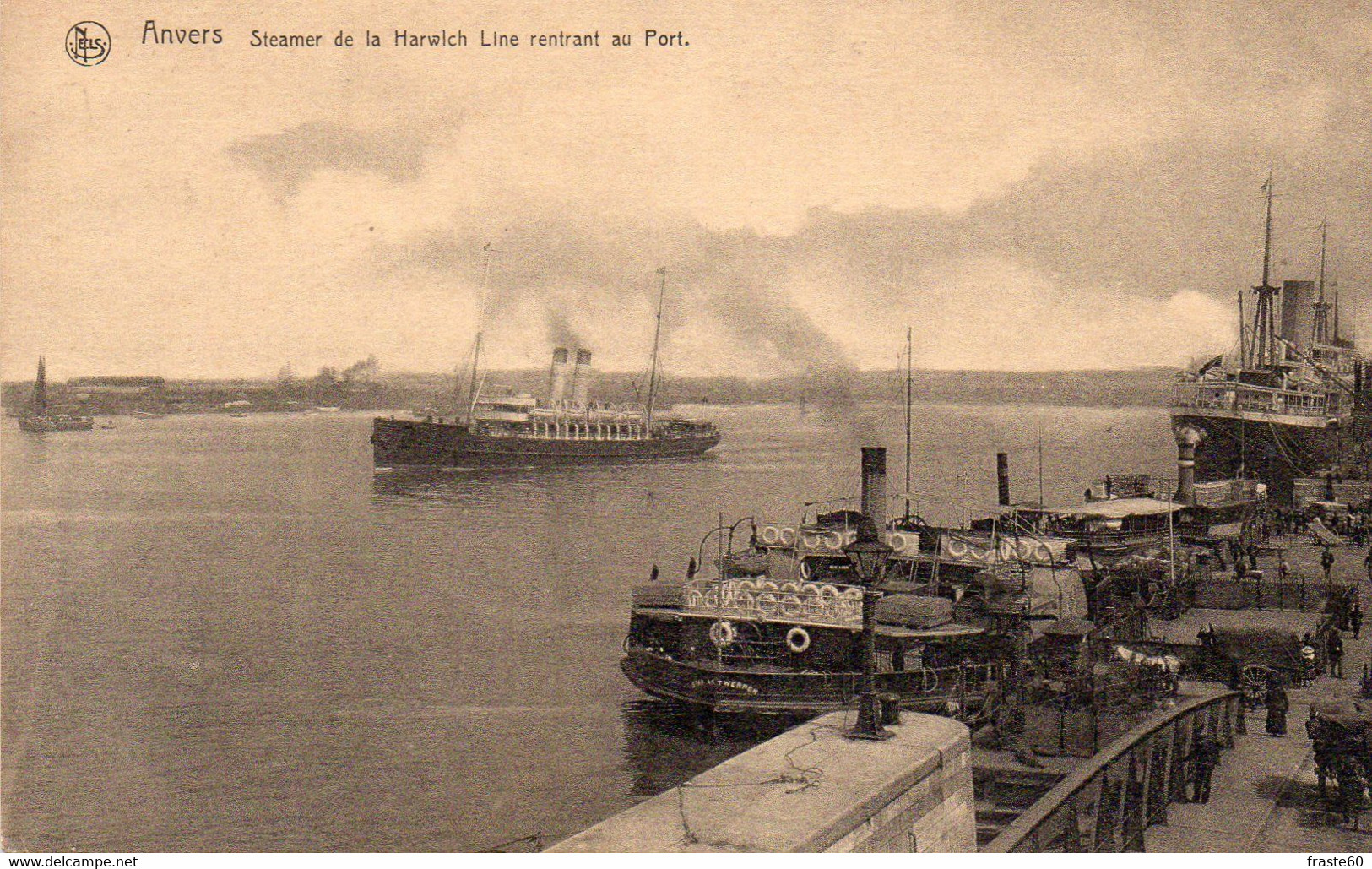 Antwerpen / Anvers - Steamer De La Harwlch Line Rentrant Au Port - Antwerpen