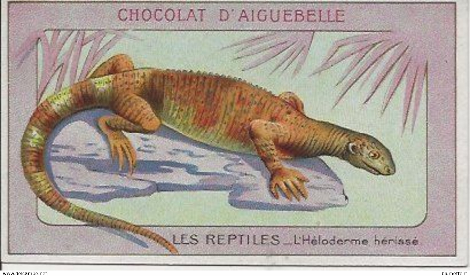 Chromo Aiguebelle Les Reptiles 10,5 X 6 - L'Héloderme Hérissé - Aiguebelle