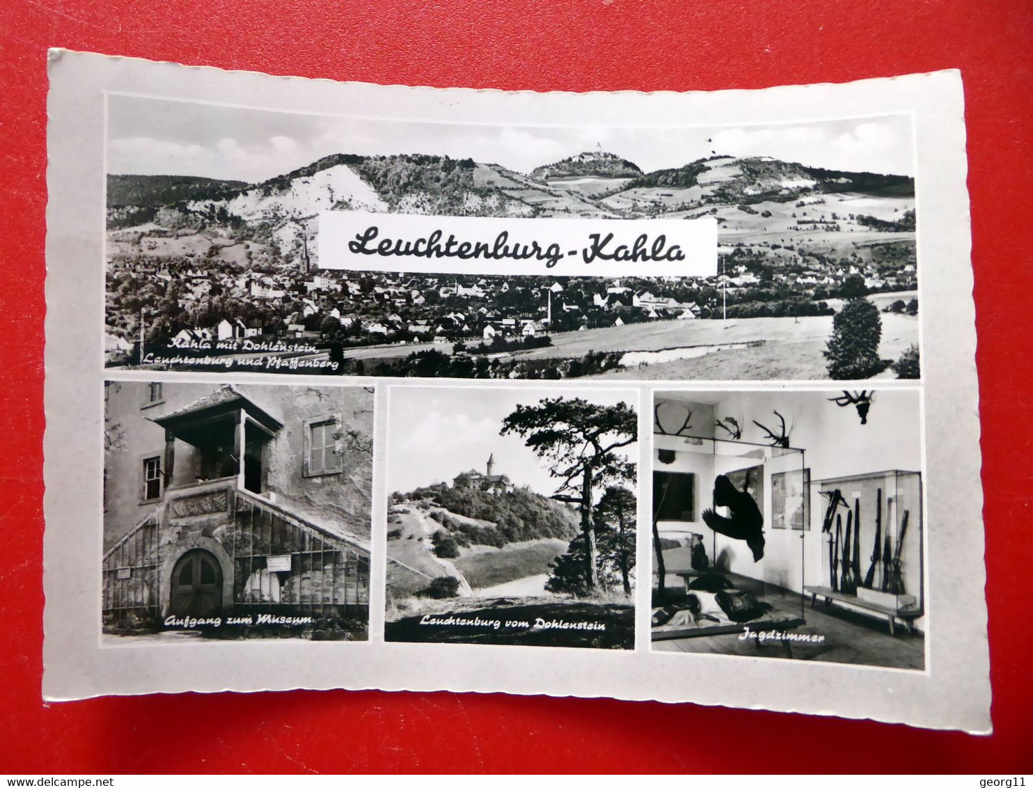 Leuchtenburg - Kahla - Jagdzimmer Museum Dohlenstein - Echt Foto - DDR 1962 - Thüringen - Kahla