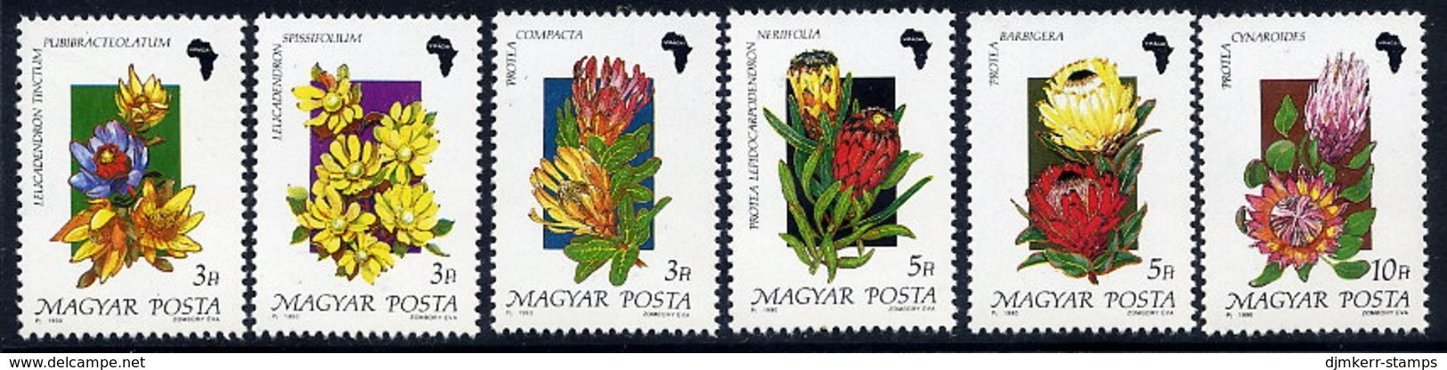 HUNGARY 1990 Proteas  MNH / **  Michel 4075-80 - Unused Stamps