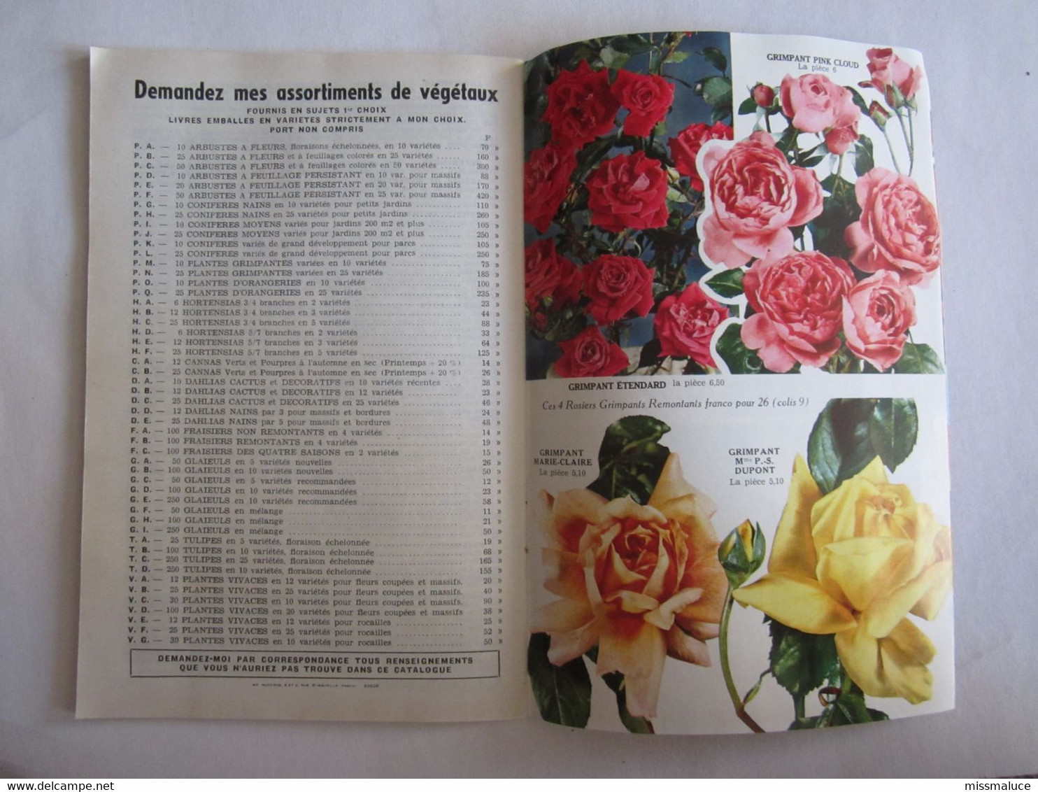 Catalogue Fleurs Pajotin Chédane Angers Rose Rosiers - Publicidad