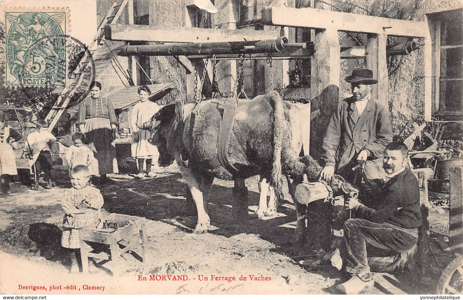 58 - En Morvan - AGRICULTURE -  Métiers - Un Ferrage De Vache-  (A-144 ) Voir Scan Recto Verso - Andere & Zonder Classificatie