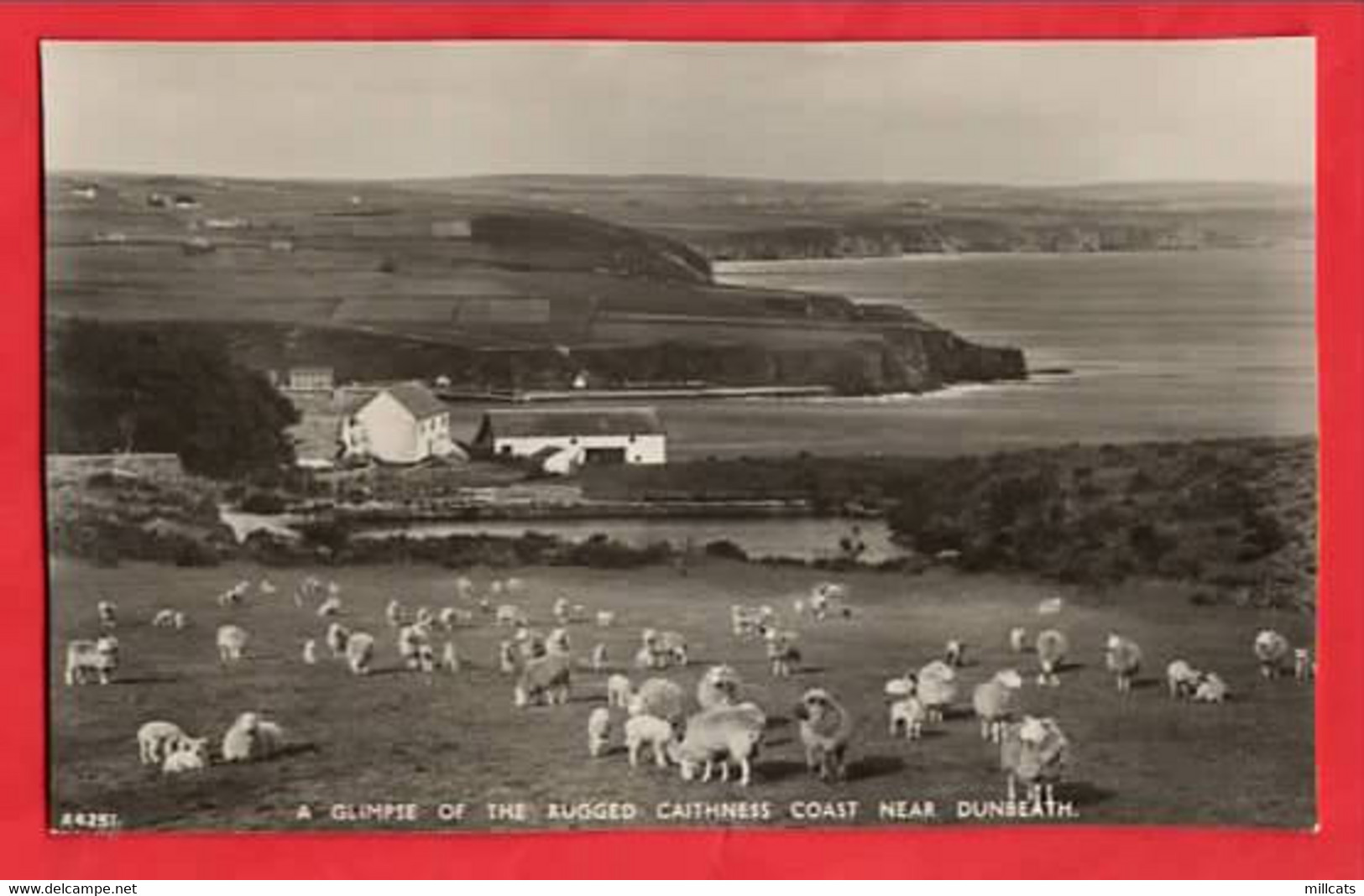 SCOTLAND CAITHNESS   A GLIMPSE OF THE RUGGED CAITHNESS COAST NEAR DUNBEATH   RP    1958 - Caithness