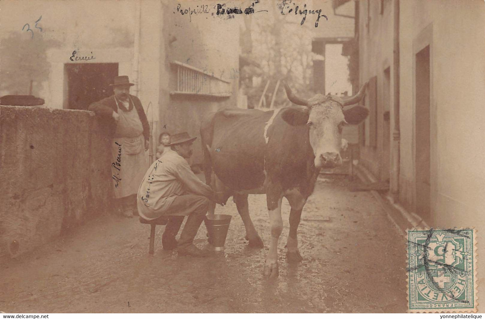 SUISSE  - CELIGNY  - AGRICULTURE - Carte Photo - Intérieur D'une Ferme   (A-198) Voir Scan Recto Verso - Céligny
