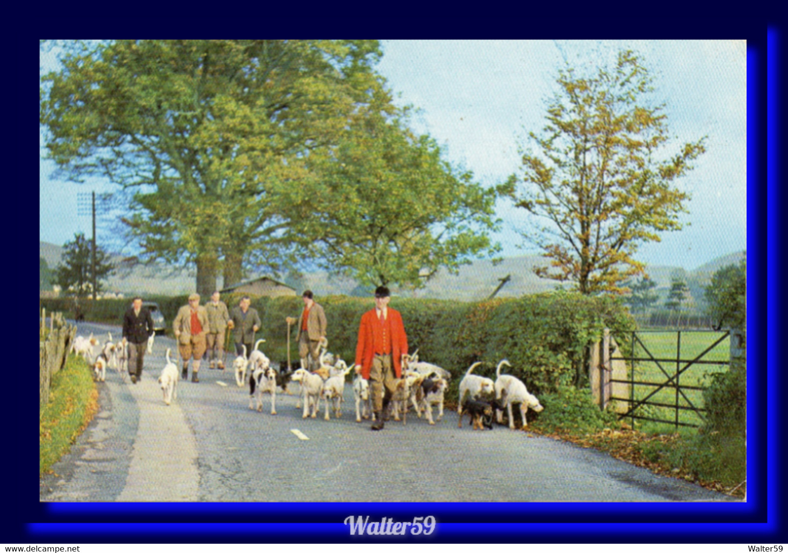 1969 UK  Great Britain Postcard Foxhounds Posted Workington To Scotland 2scans - Farm
