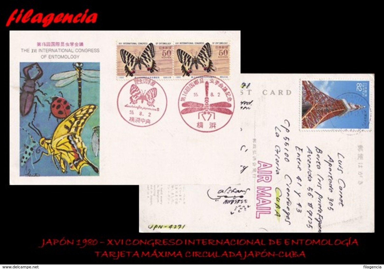 ASIA. JAPÓN. ENTEROS POSTALES. TARJETAS MÁXIMAS 1980. CONGRESO INTERNACIONAL DE ENTOMOLOGÍA. CIRCULADA JAPÓN-CUBA - Cartes-maximum