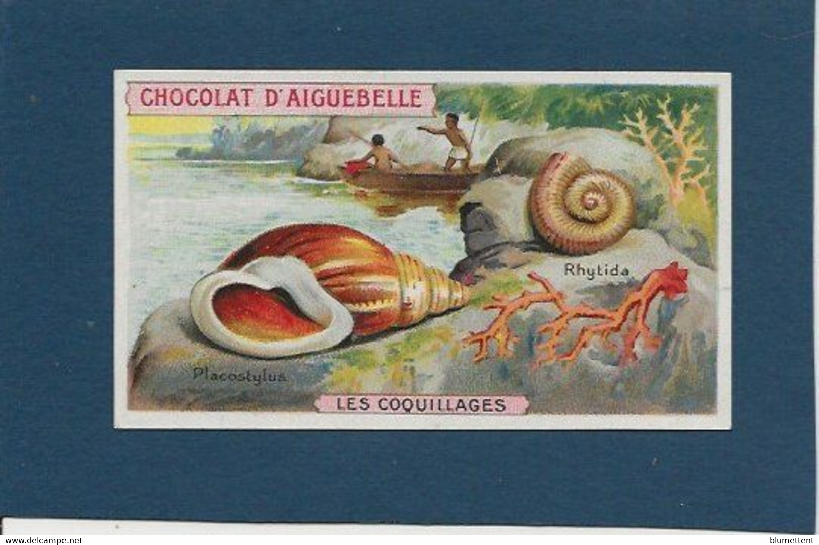 Chromo Aiguebelle Les Coquillages 10,5 X 6 - Aiguebelle